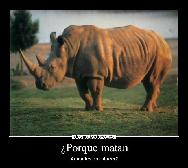 ¿Porque matan -