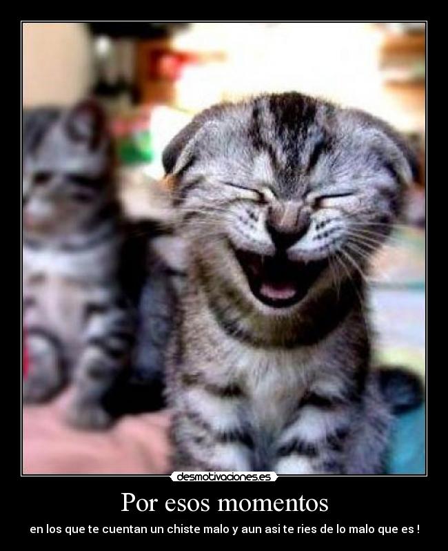 Por esos momentos - en los que te cuentan un chiste malo y aun asi te ries de lo malo que es !