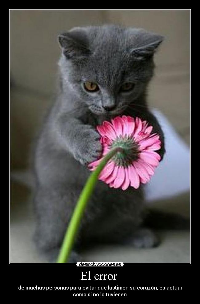 El error - de muchas personas para evitar que lastimen su corazón, es actuar
como si no lo tuviesen.