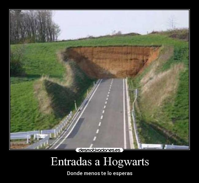 carteles hogwarts desmotivaciones