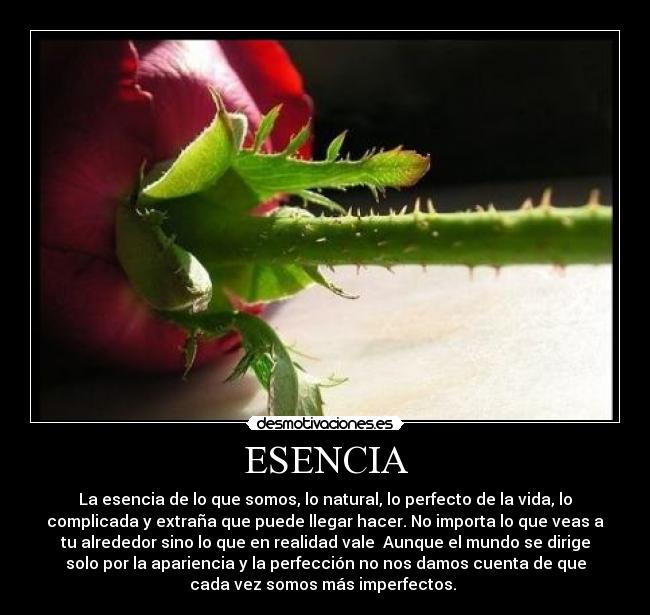 ESENCIA - La esencia de lo que somos, lo natural, lo perfecto de la vida, lo
complicada y extraña que puede llegar hacer. No importa lo que veas a
tu alrededor sino lo que en realidad vale  Aunque el mundo se dirige
solo por la apariencia y la perfección no nos damos cuenta de que
cada vez somos más imperfectos. 