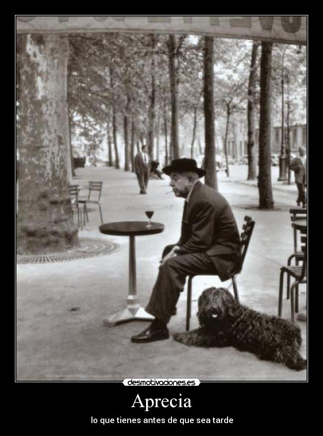 Aprecia - lo que tienes antes de que sea tarde