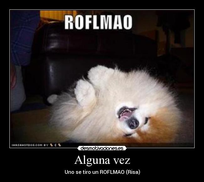 Alguna vez - Uno se tiro un ROFLMAO (Risa)