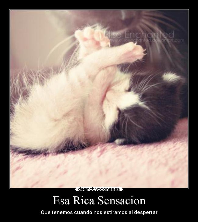 Esa Rica Sensacion - Que tenemos cuando nos estiramos al despertar