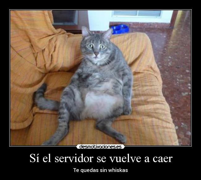 Sí el servidor se vuelve a caer - Te quedas sin whiskas
