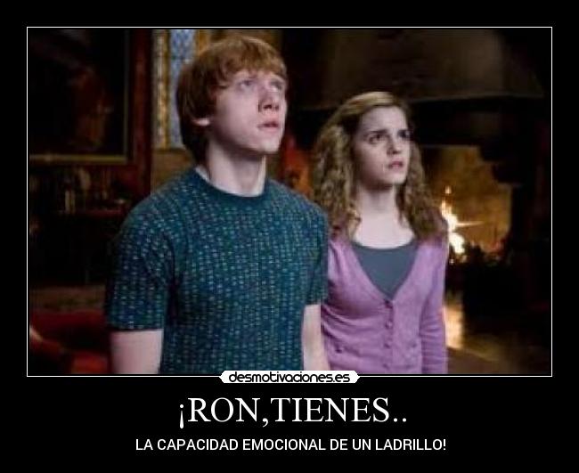 ¡RON,TIENES.. - LA CAPACIDAD EMOCIONAL DE UN LADRILLO!