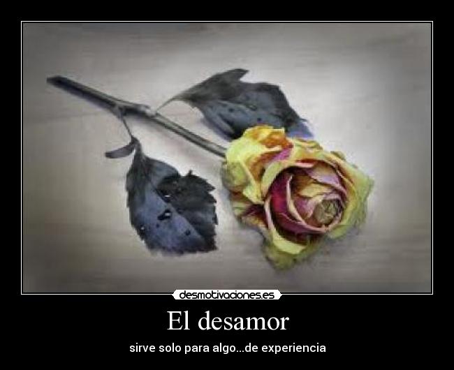 El desamor -