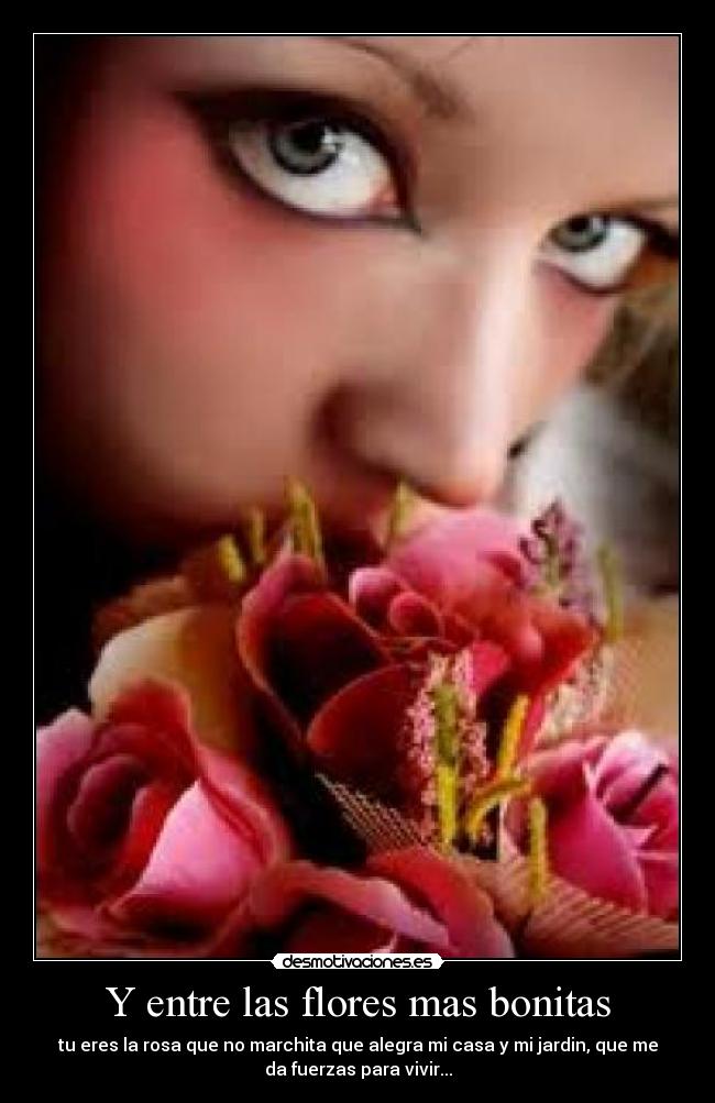 Las-Colas-Mas-Bonitas Las Colas Mas Bonitas http://desmotivaciones.es/2795869/Y-entre-las ...