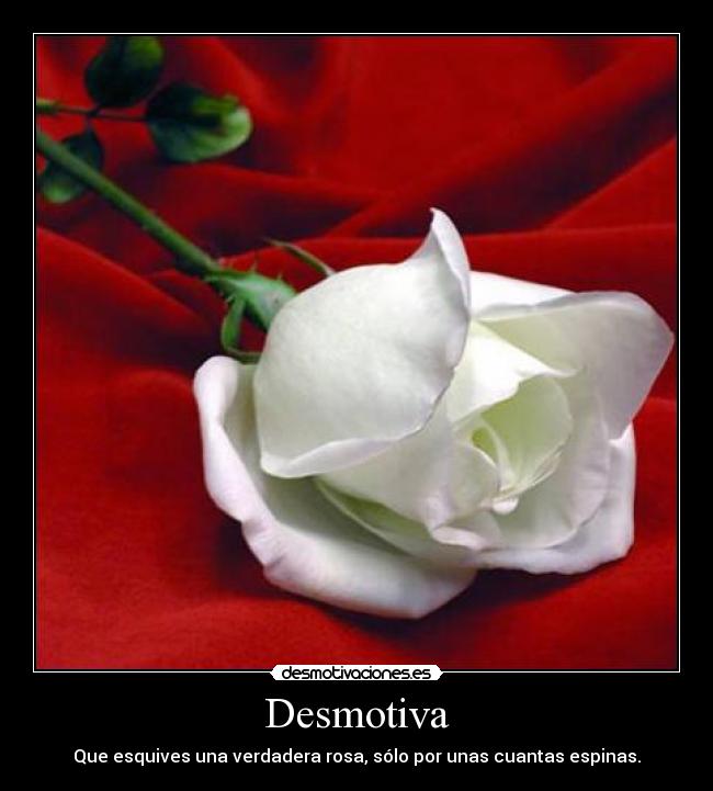 Desmotiva -