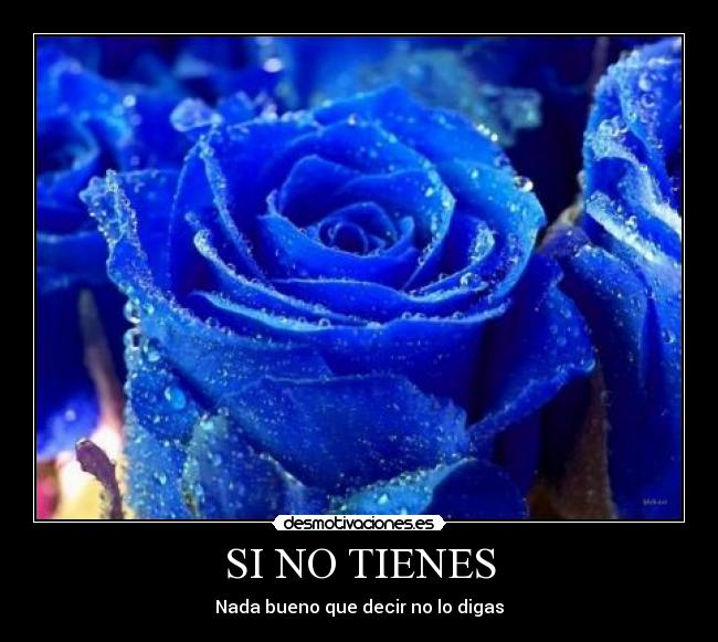 SI NO TIENES - 