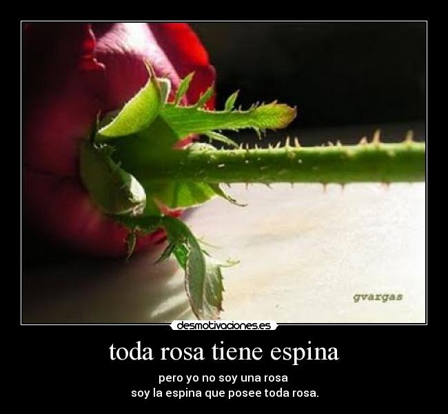 toda rosa tiene espina - pero yo no soy una rosa 
soy la espina que posee toda rosa.