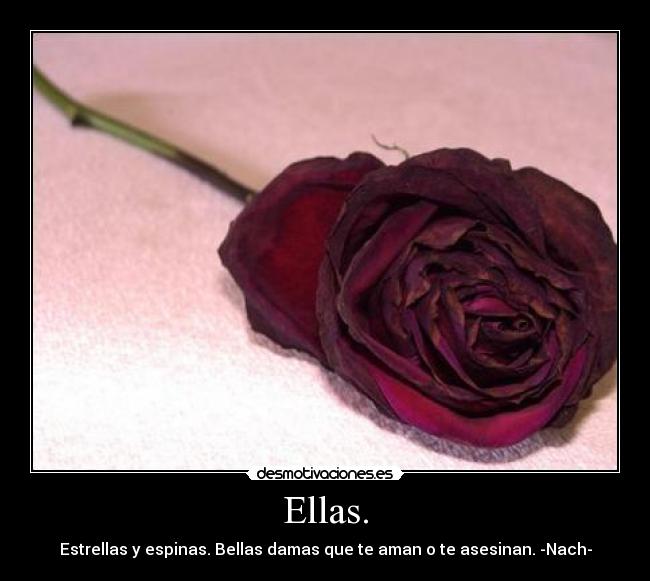 Ellas. - Estrellas y espinas. Bellas damas que te aman o te asesinan. -Nach-