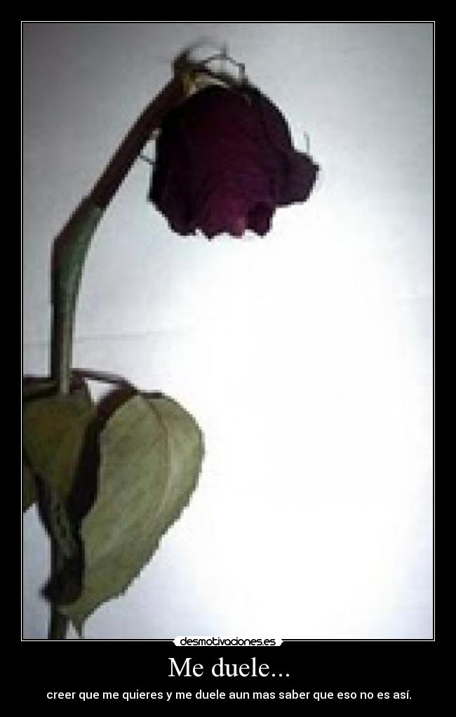 Me duele... - creer que me quieres y me duele aun mas saber que eso no es así.