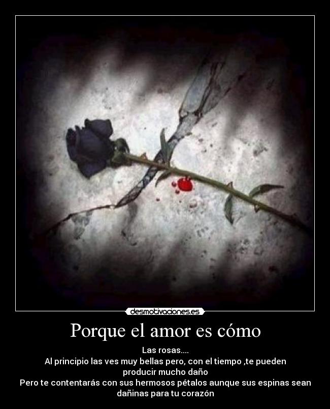 Porque el amor es cómo -
