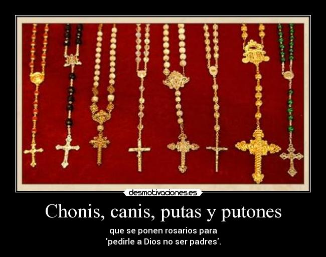 Chonis, canis, putas y putones - que se ponen rosarios para
pedirle a Dios no ser padres.