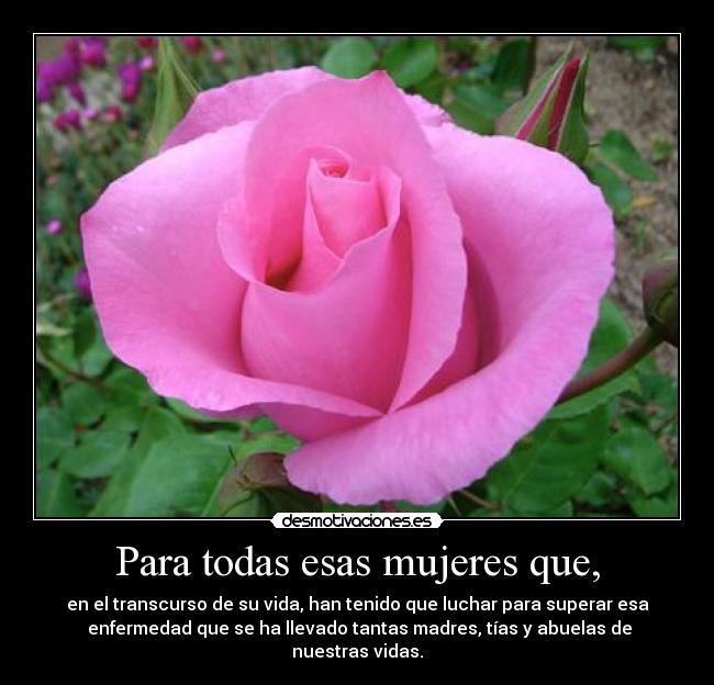 Para todas esas mujeres que, - en el transcurso de su vida, han tenido que luchar para superar esa
enfermedad que se ha llevado tantas madres, tías y abuelas de nuestras vidas.