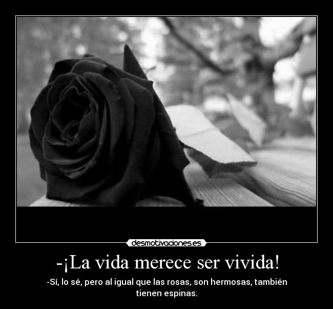 -¡La vida merece ser vivida! - -Sí, lo sé, pero al igual que las rosas, son hermosas, también tienen espinas.