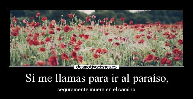 carteles cartelesbuenosaqui panoramicas paraiso muera lol cosa que ocurrido repente desmotivaciones