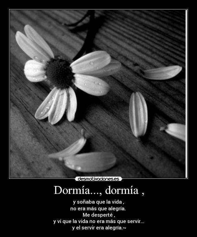 Dormía..., dormía , - 