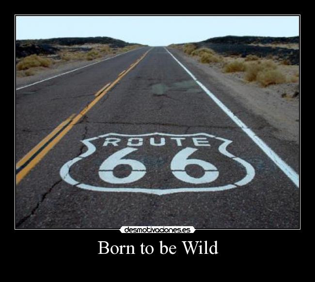 Born to be Wild - 