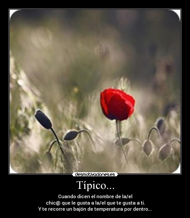 Típico... - 