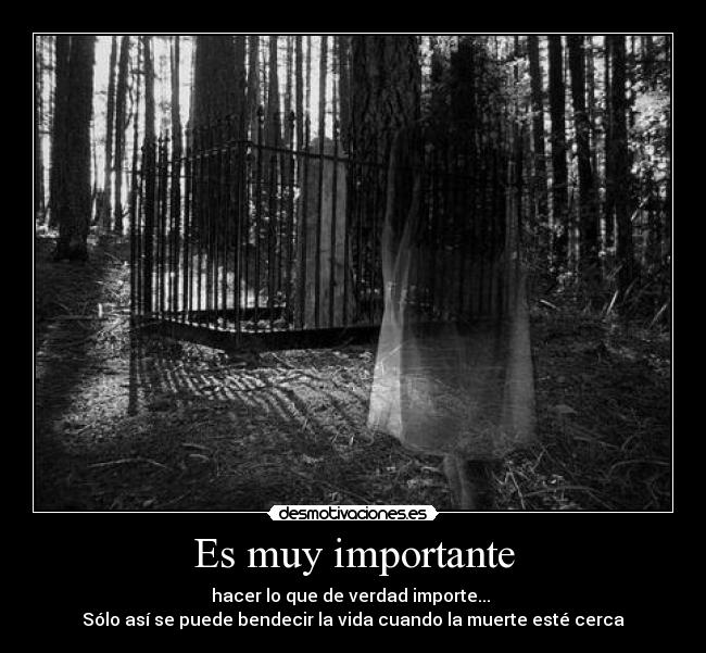 carteles daniattackdec12 desmotivaciones