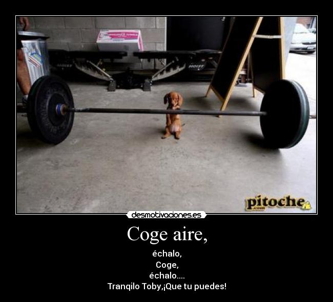 Coge aire, - échalo,
Coge,
échalo....
Tranqilo Toby,¡Que tu puedes!