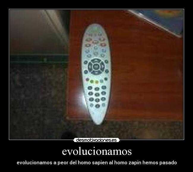 evolucionamos -