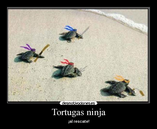Tortugas ninja - 