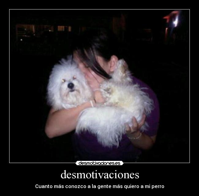 desmotivaciones - Cuanto más conozco a la gente más quiero a mi perro