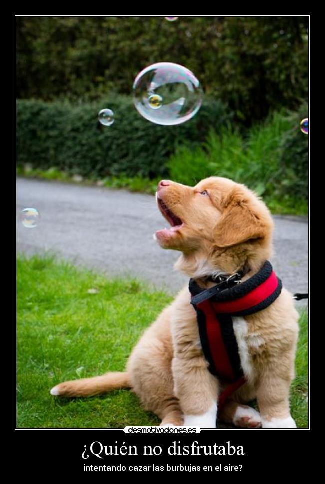 ¿Quién no disfrutaba -