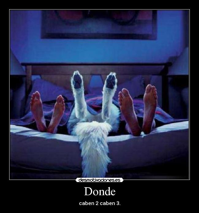 Donde - 