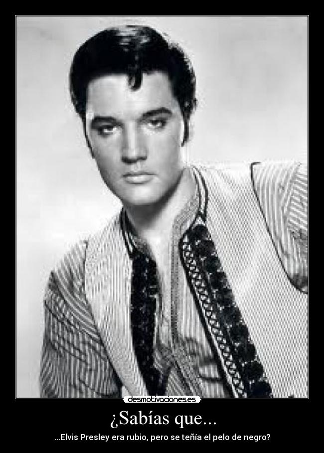 carteles elvis presley desmotivaciones