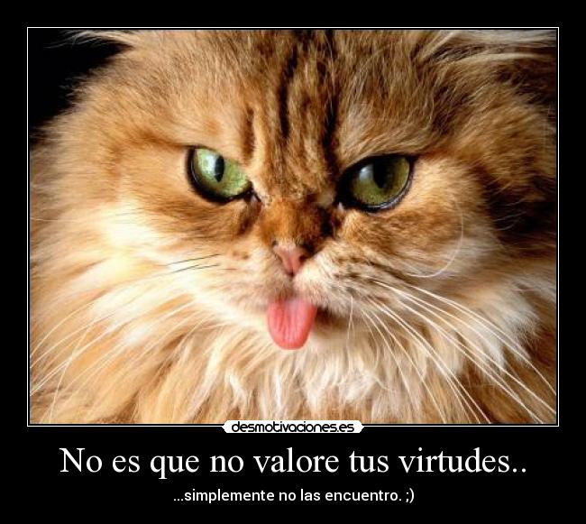 No es que no valore tus virtudes.. - ...simplemente no las encuentro. ;)