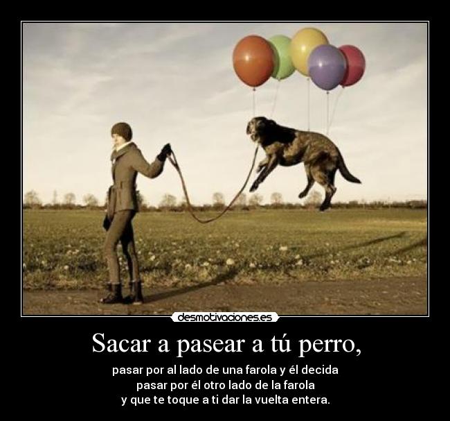 Sacar a pasear a tú perro, -