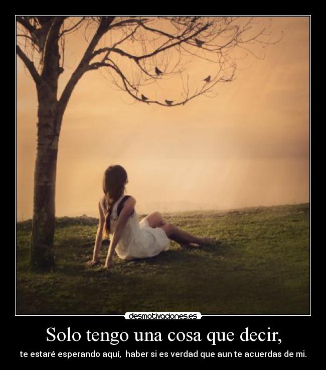 Solo tengo una cosa que decir, -