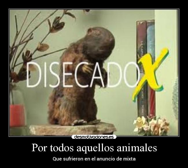 Por todos aquellos animales - 