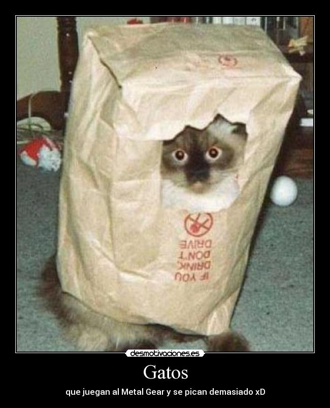 Gatos - que juegan al Metal Gear y se pican demasiado xD