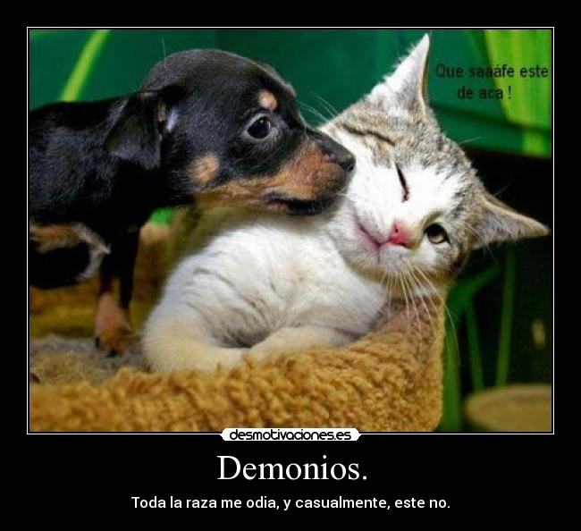Demonios. - Toda la raza me odia, y casualmente, este no.