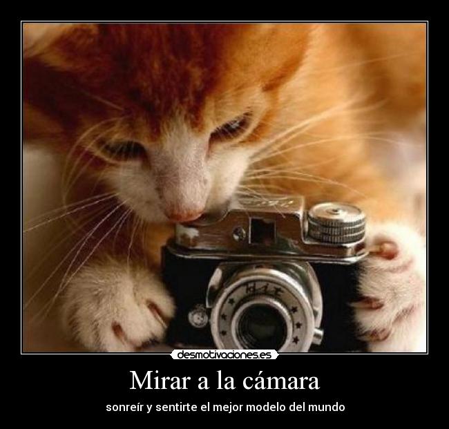 Mirar a la cámara - 