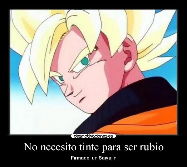 carteles saiyan goku desmotivaciones