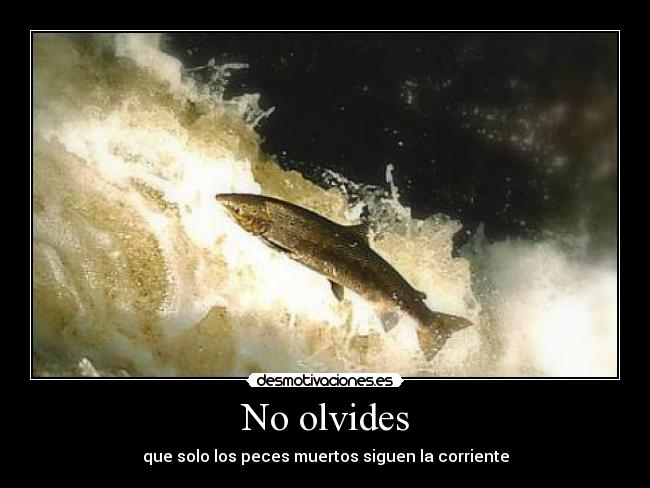 No olvides - 