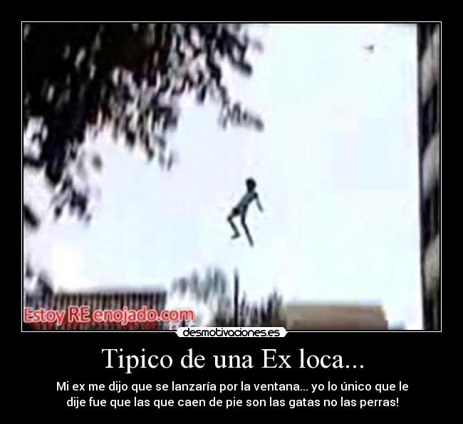 Tipico de una Ex loca... - Mi ex me dijo que se lanzaría por la ventana... yo lo único que le
dije fue que las que caen de pie son las gatas no las perras!