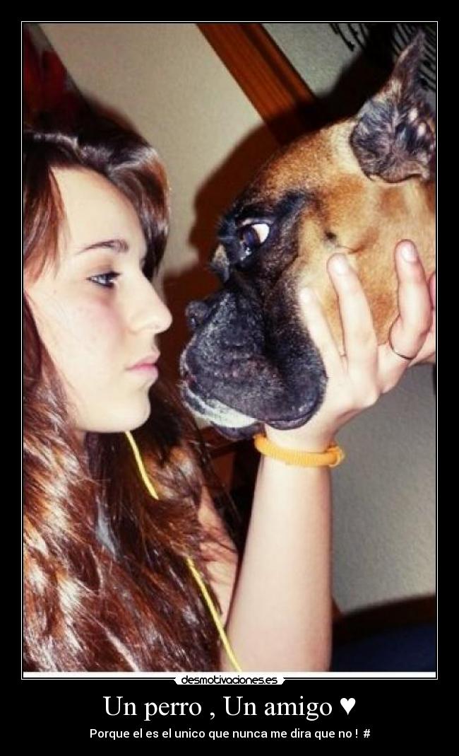 carteles nolose dimelo desmotivaciones