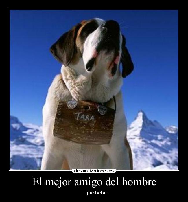 El mejor amigo del hombre - ....que bebe.