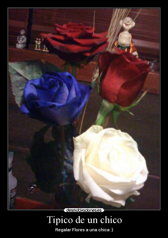 Tipico de un chico - 