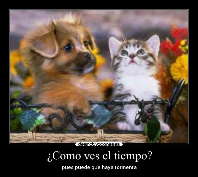¿Como ves el tiempo? - 