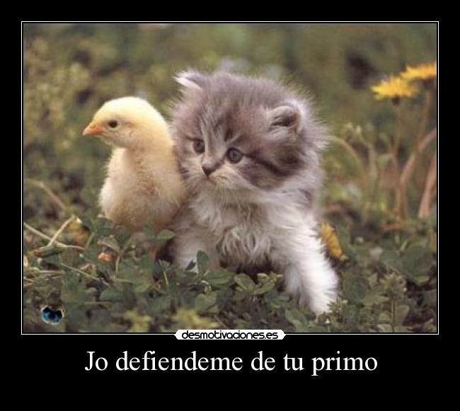 Jo defiendeme de tu primo - 