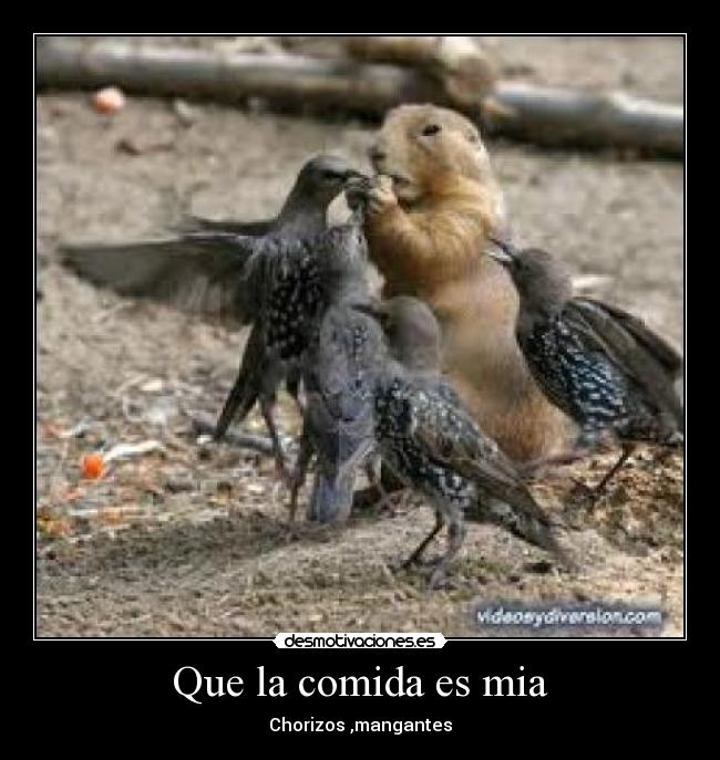 Que la comida es mia - 