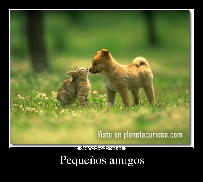Pequeños amigos - 